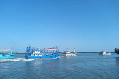 Ảnh chỉ có tính minh họa. (Ảnh: Đoàn Hữu Trung/TTXVN)