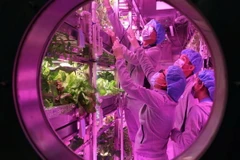 Các tình nguyện viên làm việc trong cabin Nguyệt Cung 1. (Nguồn: Reuters)