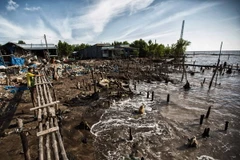 Khung cảnh đổ nát hoang tàn ở ấp Kênh Đào Đông, xã Đất Mũi do tốc độ xói lở quá nhanh của biển khiến người dân không kịp trở tay. (Ảnh: Trọng Đạt/TTXVN)