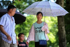 Ảnh chỉ có tính minh họa. (Ảnh: Quang Quyết/TTXVN)