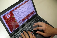 Mã độc WannaCry tạo nên "địa chấn" hồi quý 2. (Ảnh minh họa: EPA/TTXVN)