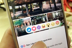 Biểu tượng bông hoa của Facebook được nhiều người dùng yêu thích. (Ảnh: T.H/Vietnam+)