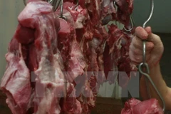 Ảnh minh họa. (Nguồn: TTXVN) 