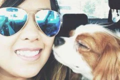 Nữ y tá gốc Việt Nina Phạm đã nhiễm virus Ebola như thế nào?