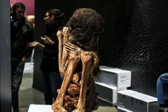 Peru: Xác ướp phụ nữ 1.000 năm tuổi trong tư thế ngồi co 