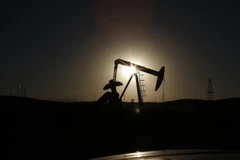 Nga không có kế hoạch cắt giảm sản lượng dầu mỏ để hỗ trợ giá