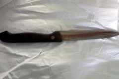 Người đàn ông nhảy lầu tự tử sau khi sát hại cha mẹ và con gái