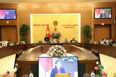 Phó Chủ tịch Thường trực Quốc hội Tòng Thị Phóng phát biểu ý kiến thảo luận. (Ảnh: Dương Giang/TTXVN)