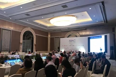 Quang cảnh phiên họp. (Ảnh: Đình Ánh/Vietnam+)