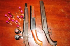 Ảnh minh hoạ (Nguồn: Internet)