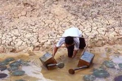 Ảnh minh họa. (Nguồn: Duy Khương/TTXVN)