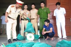 Số rắn hổ mang được vận chuyển trái phép (Ảnh: CQCN cung cấp)