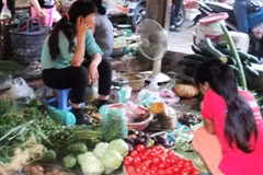 Nhiều mặt hàng rau xanh tăng giá mạnh. (Ảnh: Thanh Tâm/Vietnam+)
