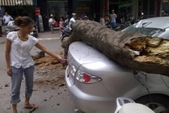 Hiện trường vụ việc (Ảnh: Sơn Bách/Vietnam+)