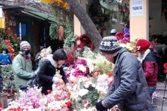 (Ảnh chỉ có tính minh họa. Nguồn: Internet).