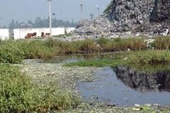 Dòng nước bẩn từ bãi rác chảy ra vùng chuyên canh rau xã Đông Vĩnh, Nghệ An (Nguồn: Lan Xuân/TTXVN)