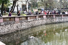 Hiện trường vụ việc (Ảnh: Sơn Bách/Vietnam+)