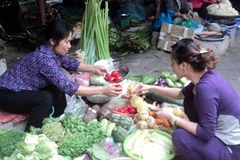 Nguồn cung dồi dào, giá rau xanh giảm mạnh. (Ảnh: Thanh Tâm/Vietnam+)