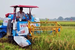 Ứng dụng khoa học kỹ thuật trong sản xuất nông nghiệp. (Ảnh: Đình Huệ/TTXVN)