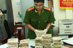 Ảnh minh họa (Nguồn: Doãn Tấn/TTXVN)