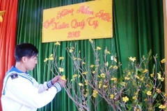 Chuẩn bị đón Tết trên đảo Hòn Tre (Ảnh: Sơn Bách/Vietnam+)