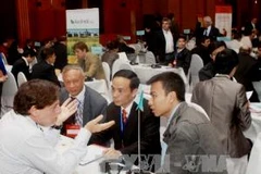 Dự án tạo cơ hội trao đổi kết nối thông tin cho những doanh nghiệp trẻ. (Ảnh: Minh Tú/TTXVN)