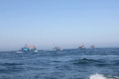 (Ảnh minh họa: Phạm Kha/TTXVN)