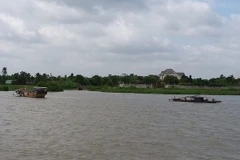 (Ảnh minh họa: Huyền Trang/TTXVN)