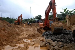 (Ảnh minh họa: Ngô Văn Chí/TTXVN)