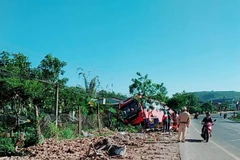 (Ảnh minh họa: Mai Hưng Thịnh/TTXVN)