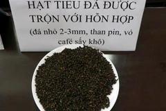 Hạt tiêu sau khi được trộn với hỗn hợp đá nhỏ 2-3mm, than pin, vỏ cà phê sấy khô tại Đăk Nông. (Ảnh: Hưng Thịnh/TTXVN)