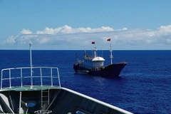 Tàu cá Trung Quốc tại vùng biển ở khu vực đảo Ogasawara thuộc vùng đặc quyền kinh tế của Nhật Bản ngày 27/10/2014. (Nguồn: AFP/TTXVN)