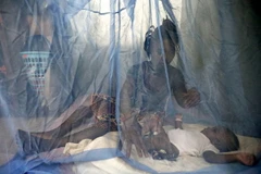 Mắc màn chống muỗi phòng bệnh sốt rét gần Abidjan, Cote d'Ivoire. (Nguồn: EPA/TTXVN)