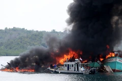 Ảnh minh họa. (Nguồn: thejakartapost.com)