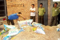 Lực lượng chức năng tiến hành tiêu hủy số phân bón giả, kém chất lượng. (Ảnh: Lê Thúy Hằng/TTXVN)