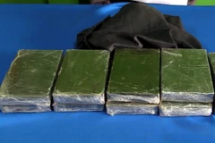 (Ảnh minh họa: Tá Chuyên/TTXVN