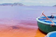 (Ảnh minh họa: Thế Lập/TTXVN)