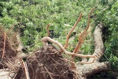 (Ảnh minh họa: Phạm Kiên/TTXVN)