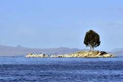 Hồ Titicaca tại Bolivia. (Nguồn: AFP/TTXVN)