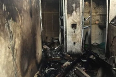 (Ảnh minh họa: Trịnh Duy Hưng/TTXVN)