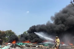 (Ảnh minh họa: Thành Chung/TTXVN)