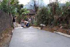 (Ảnh minh họa: Chu Hiệu/TTXVN)