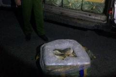 (Ảnh minh họa: Nguyễn Hoàng/TTXVN)