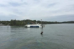 Hiện trường chiếc tàu cao tốc bị chìm ở bến Tắc Suất, huyện Cần Giờ. (Ảnh: TTXVN phát)