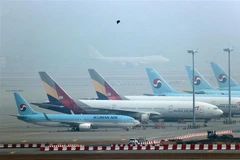 Máy bay của hãng hàng không Korean Air và Asiana Airlines tại sân bay quốc tế Incheon, Hàn Quốc. (Ảnh: Yonhap/TTXVN)