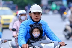 Ảnh minh họa. (Nguồn: TTXVN)