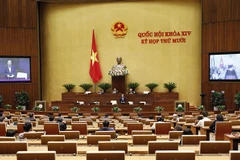 Quang cảnh một phiên họp trong đợt họp thứ nhất của Kỳ họp thứ 10. (Ảnh: Dương Giang/TTXVN)