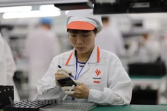 (Ảnh: Minh Sơn/Vietnam+)