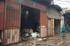 Khu xưởng xây dựng trên đất lấn chiếm (Ảnh: PV/Vietnam+) 