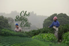 (Ảnh: Minh Sơn/Vietnam+)